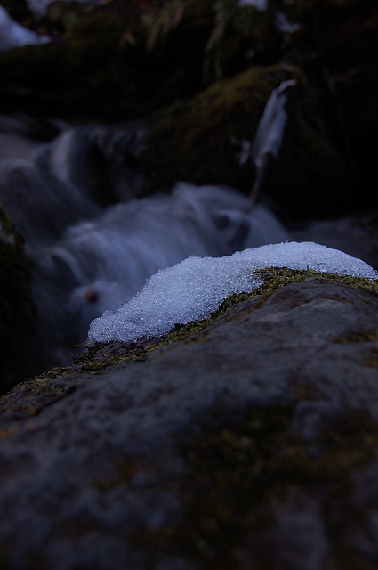 c0134295_0262437.jpg