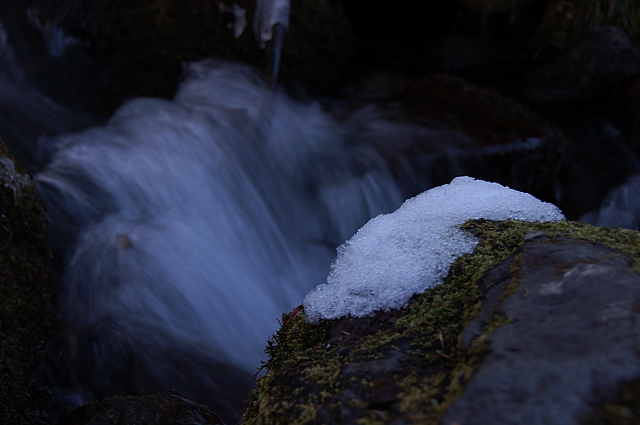 c0134295_026751.jpg
