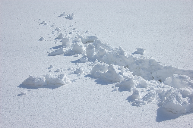 c0134295_032453.jpg