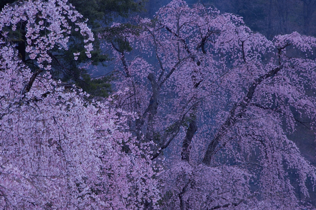 c0134295_8162872.jpg