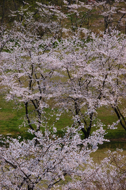 c0134295_821330.jpg