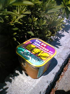 c0032006_1284344.jpg