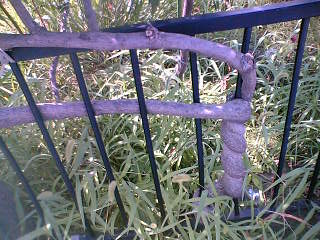 c0032006_1305813.jpg