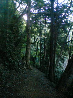 c0032006_1555027.jpg