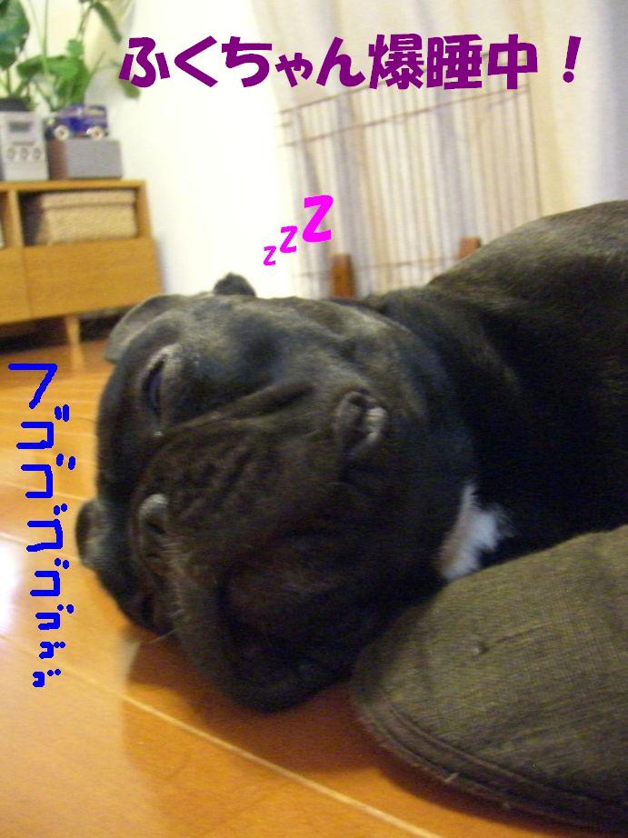 c0113109_013714.jpg