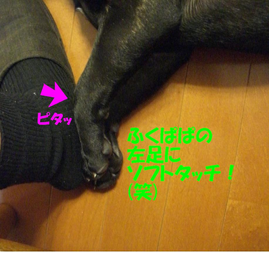 c0113109_014111.jpg