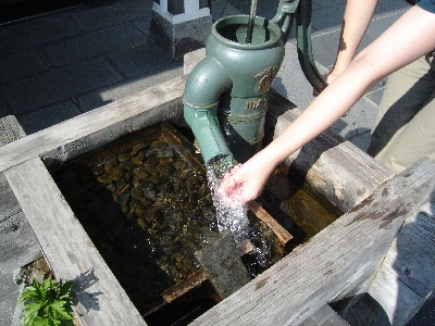 f0006510_14561061.jpg