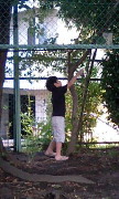 c0004211_10312431.jpg