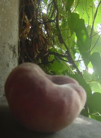 a0037414_16553853.jpg