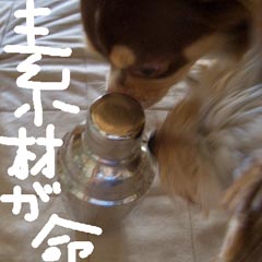 c0036617_17142956.jpg