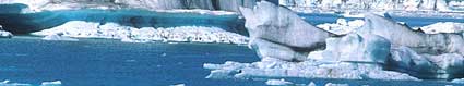 c0003620_129075.jpg