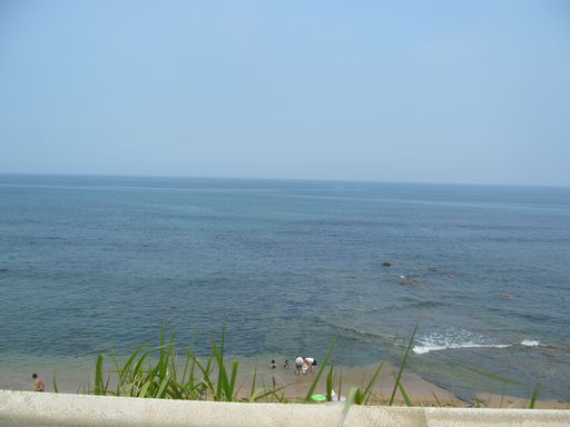e0086522_1513127.jpg