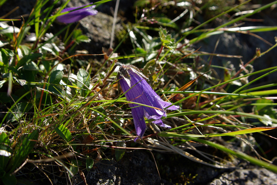 b0062024_619055.jpg