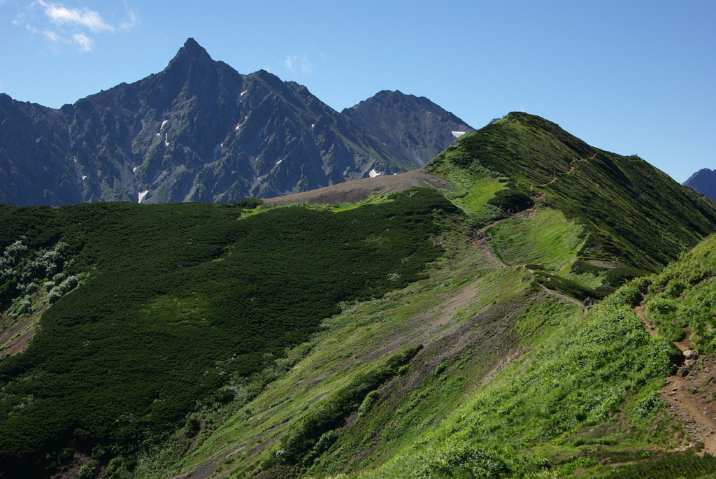 b0062024_6282940.jpg
