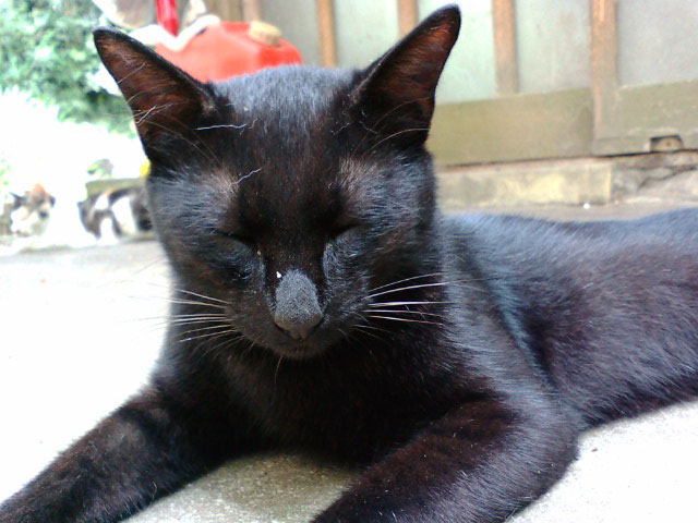d0089024_13442515.jpg