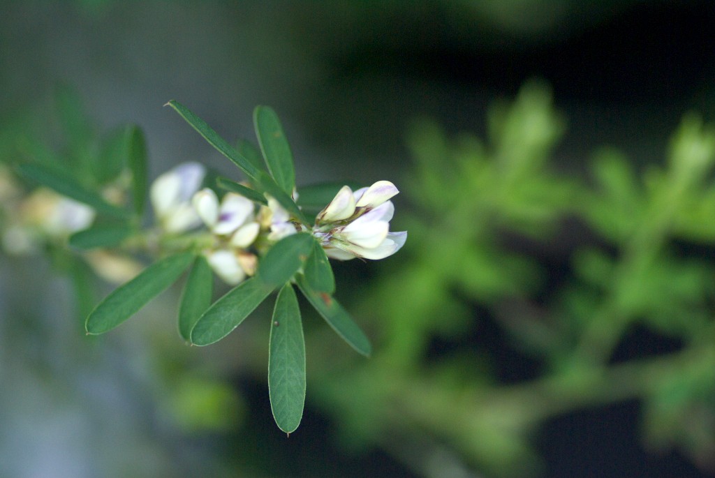 d0053930_6423990.jpg