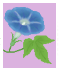 c0123031_57389.gif