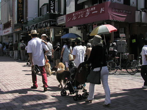 d0046531_1650593.jpg