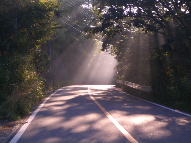 c0078032_8175431.jpg