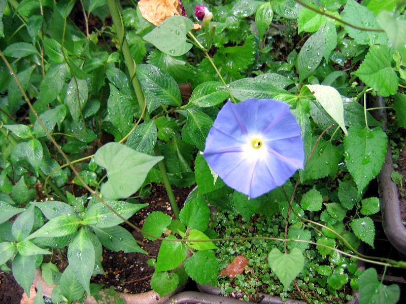 f0042441_1113745.jpg