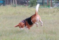 c0119142_1174030.jpg