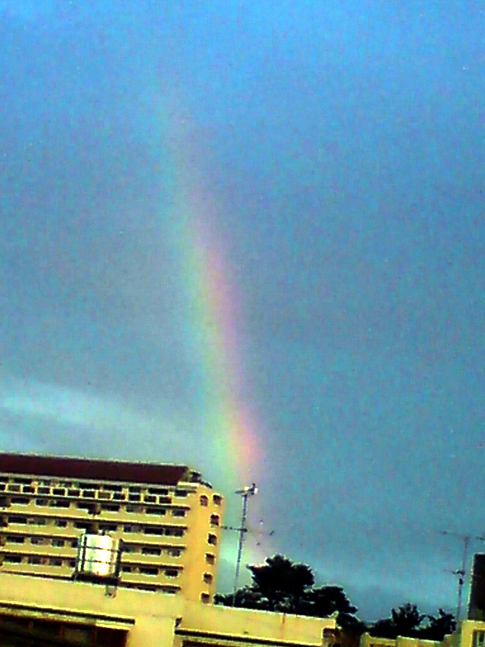 e0050449_2241069.jpg