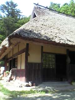 f0101049_017202.jpg