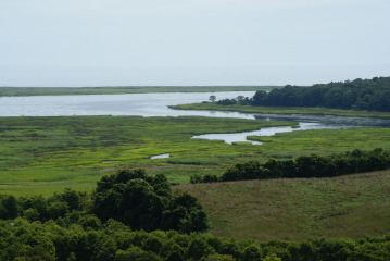 b0086858_15394130.jpg