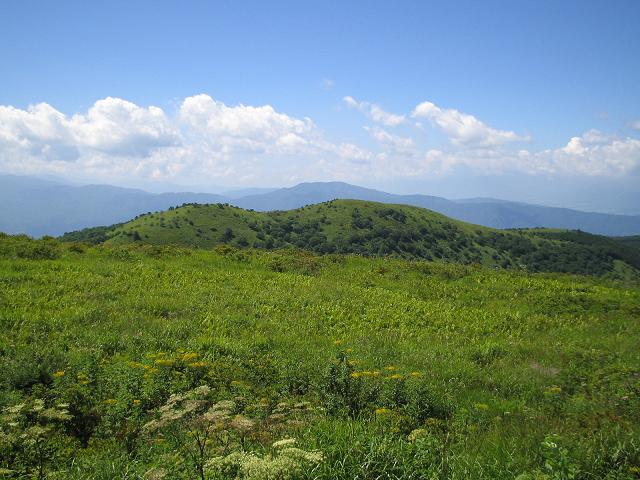 d0100459_1264669.jpg