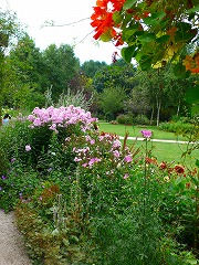 e0001860_20424231.jpg