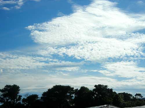 e0097770_2011438.jpg
