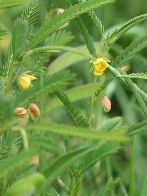 b0088772_2237138.jpg