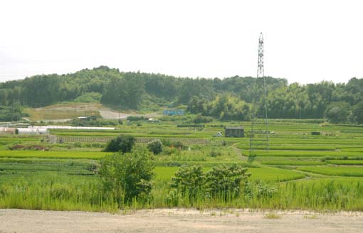 a0101473_2220234.jpg