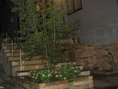 d0116578_22443279.jpg