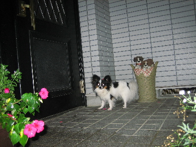 d0116578_23103450.jpg