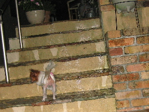 d0116578_2312756.jpg