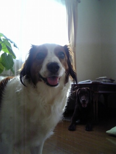 f0133681_20101239.jpg