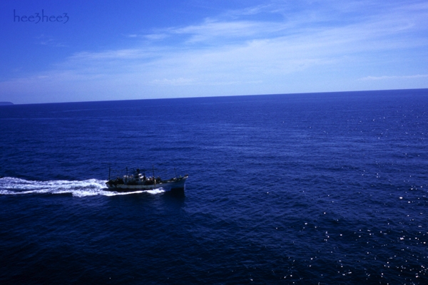 a0053783_13214731.jpg