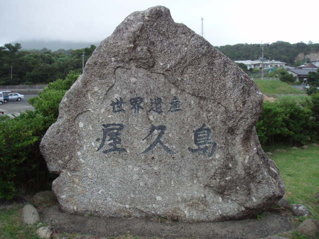 e0125483_20251919.jpg