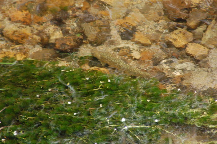 c0072785_184432.jpg