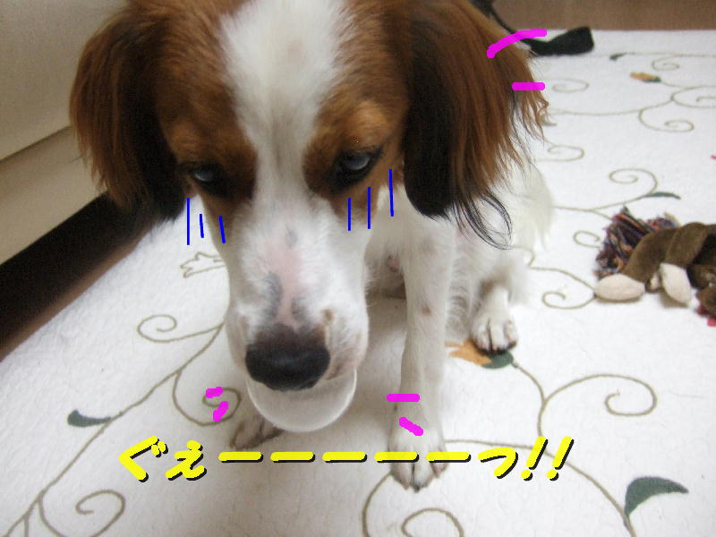 c0075585_13544477.jpg