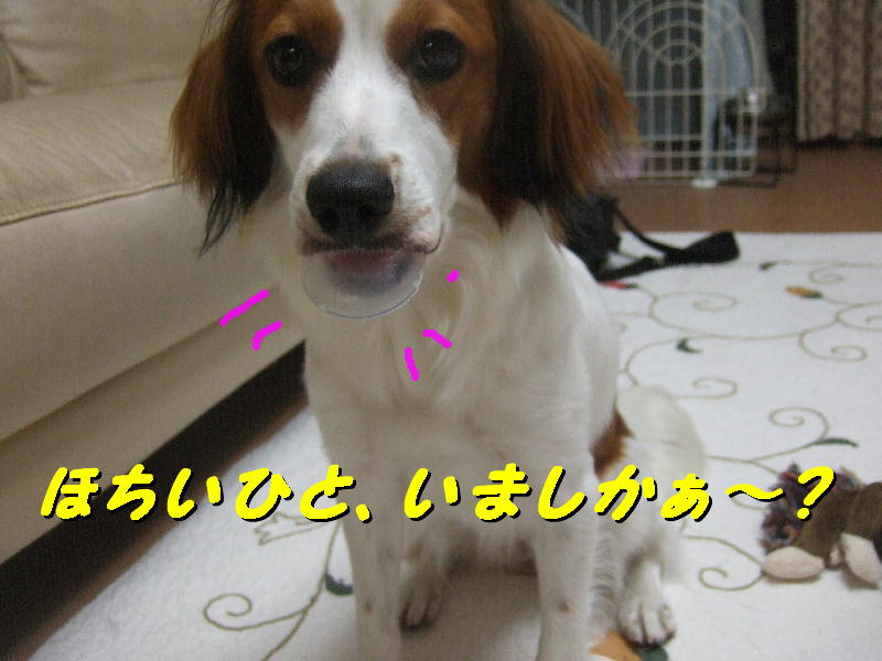 c0075585_1452941.jpg