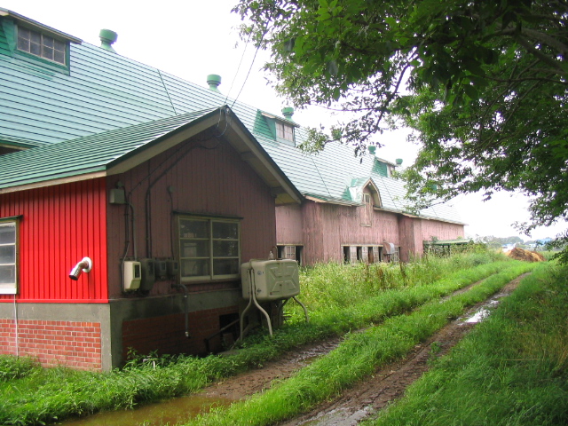 e0028485_1562942.jpg