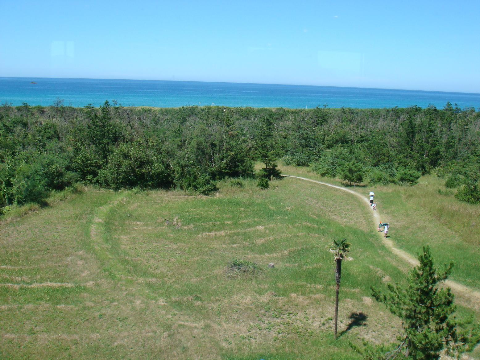 f0131491_15163676.jpg