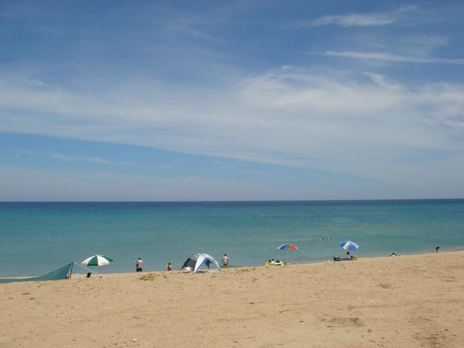 f0131491_15165535.jpg