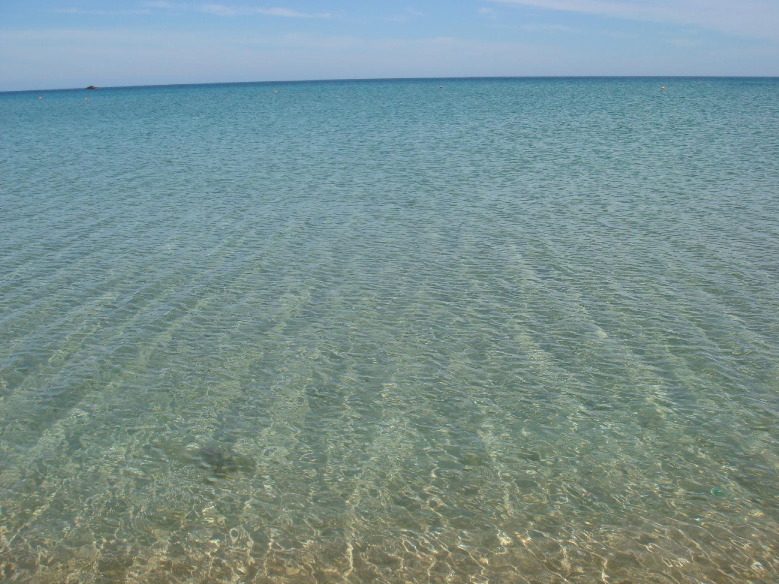 f0131491_1517674.jpg