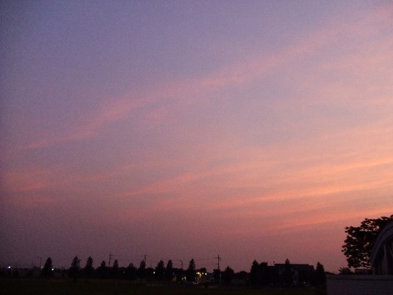 f0140491_2329227.jpg
