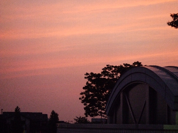 f0140491_2354363.jpg