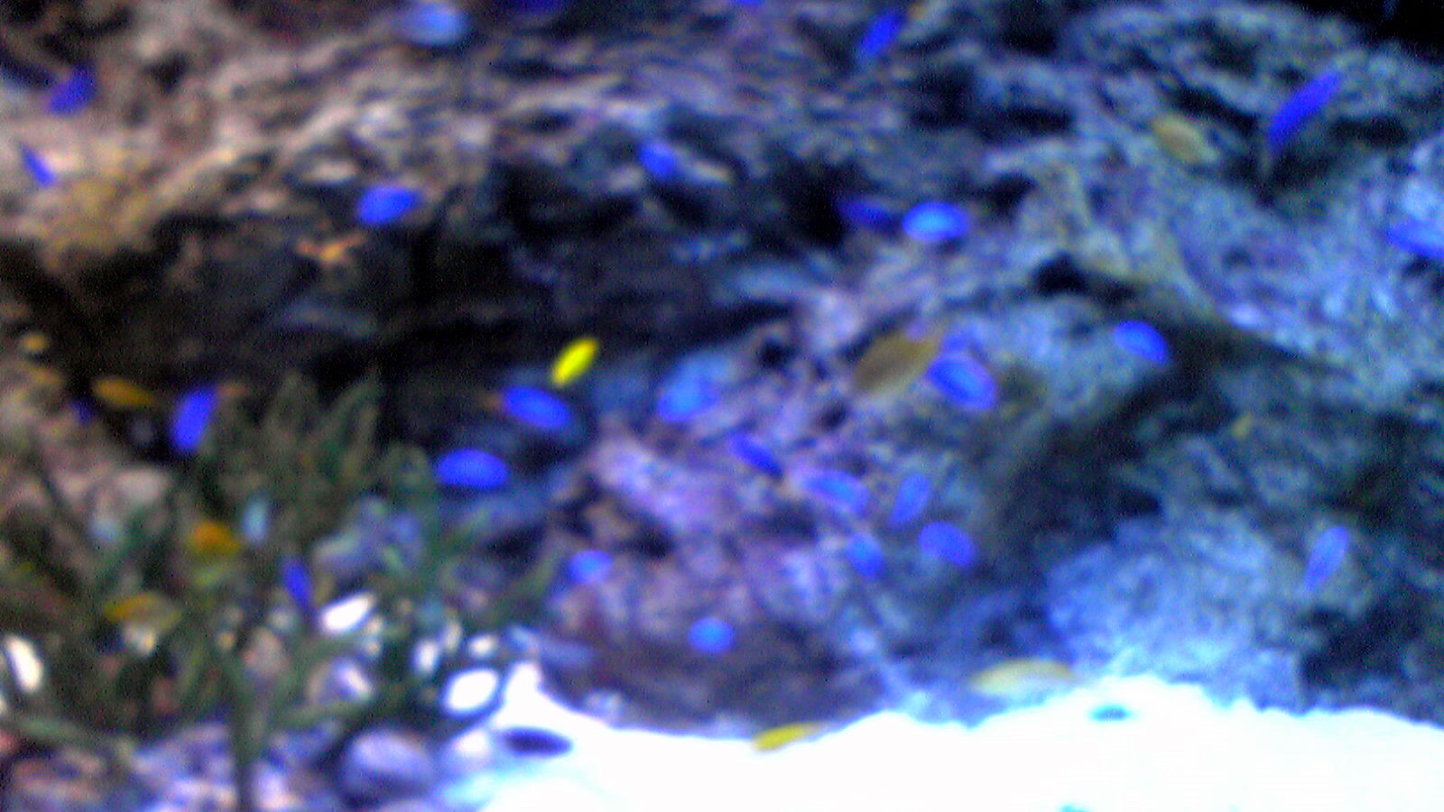 e0019200_13203014.jpg