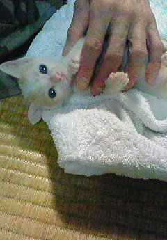 e0040602_203520100.jpg